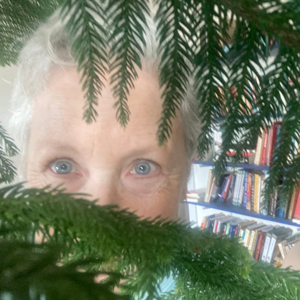 Heretic’s Notebook