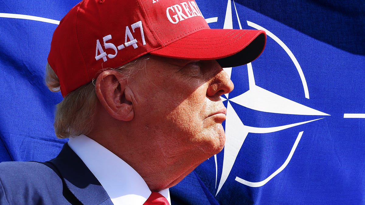 Trump Critiques NATO Allies as 'Freeloaders' Amid Trust Issues