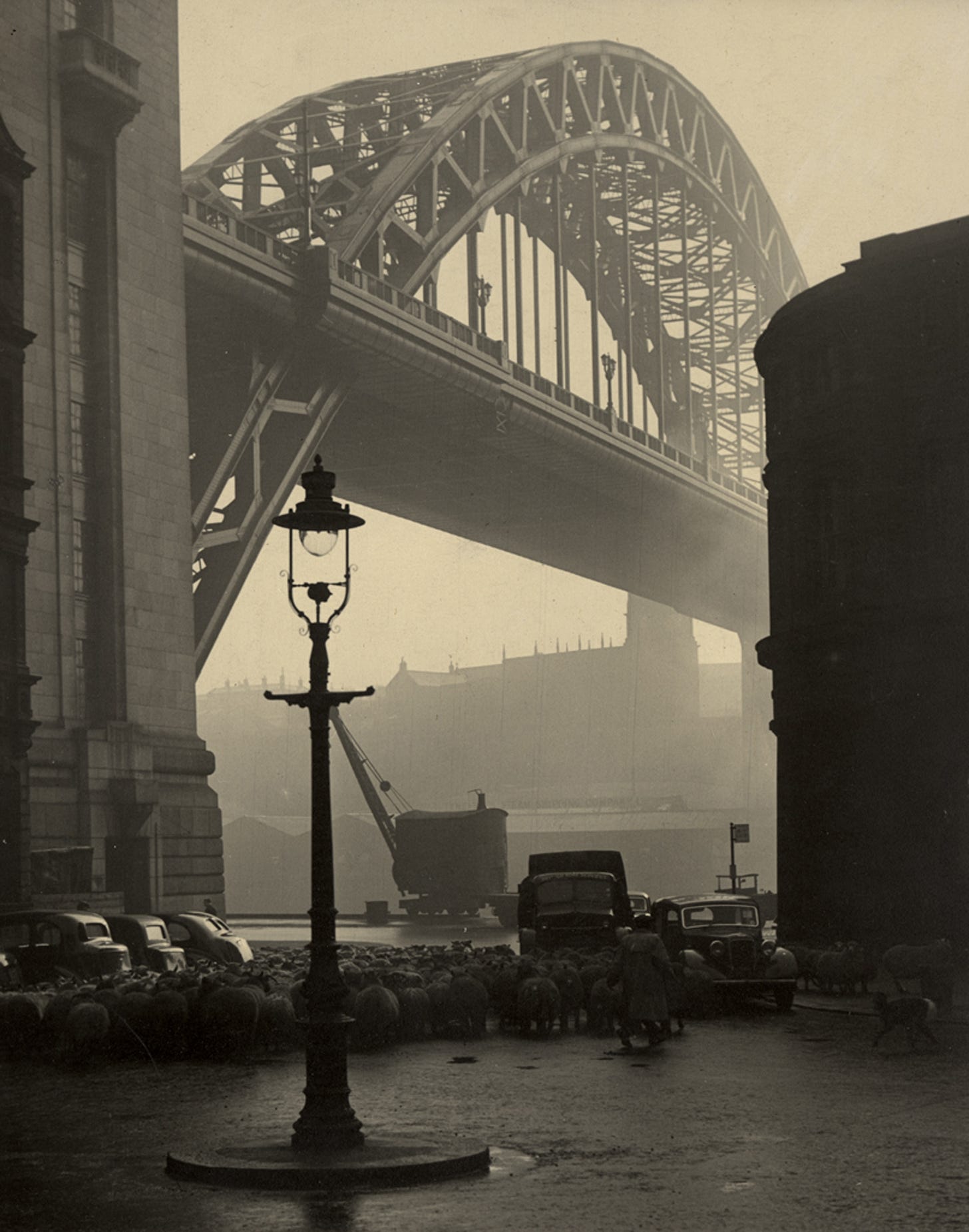 Herding sheep under the Tyne Bridge, Newcastle City Library Herding sheep under the Tyne Bridge, Newcastle City Library