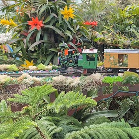 A Journey Through Fern’s Fairylight Express