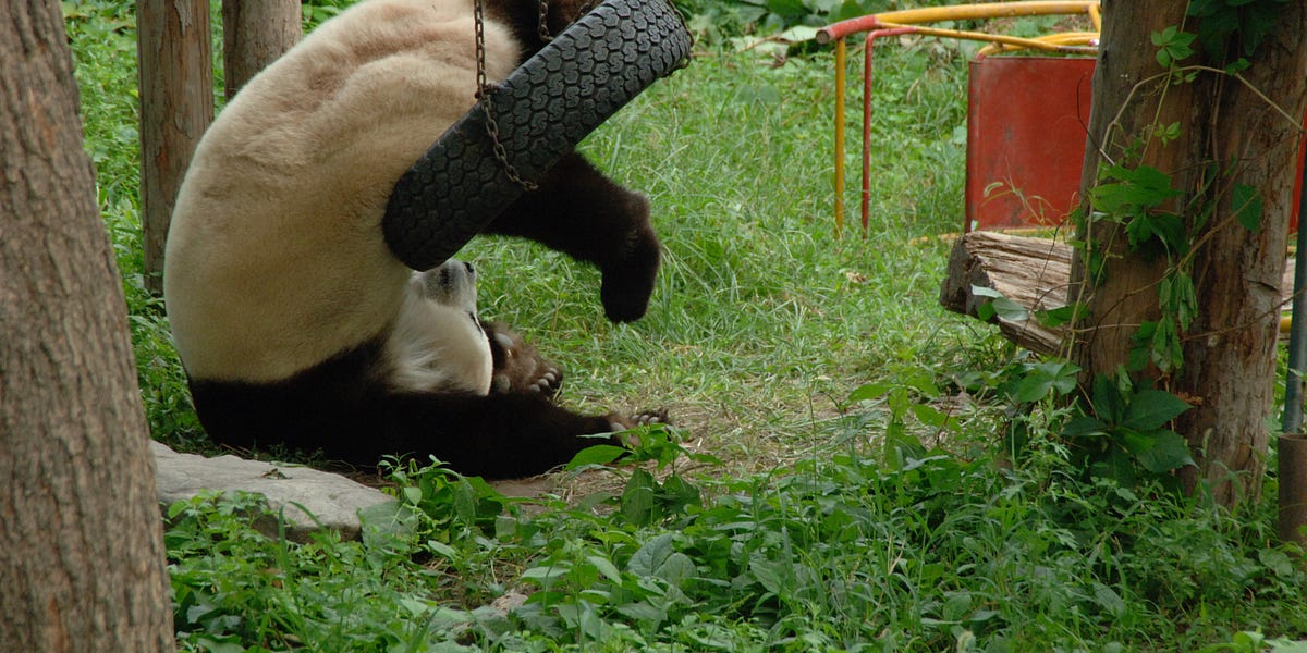 Sharp China: Beijing Kills Meta’s Manus Deal; April Politburo Takeaways; Foreign Forces Afflicting the Youth; US Countermeasures Mounting