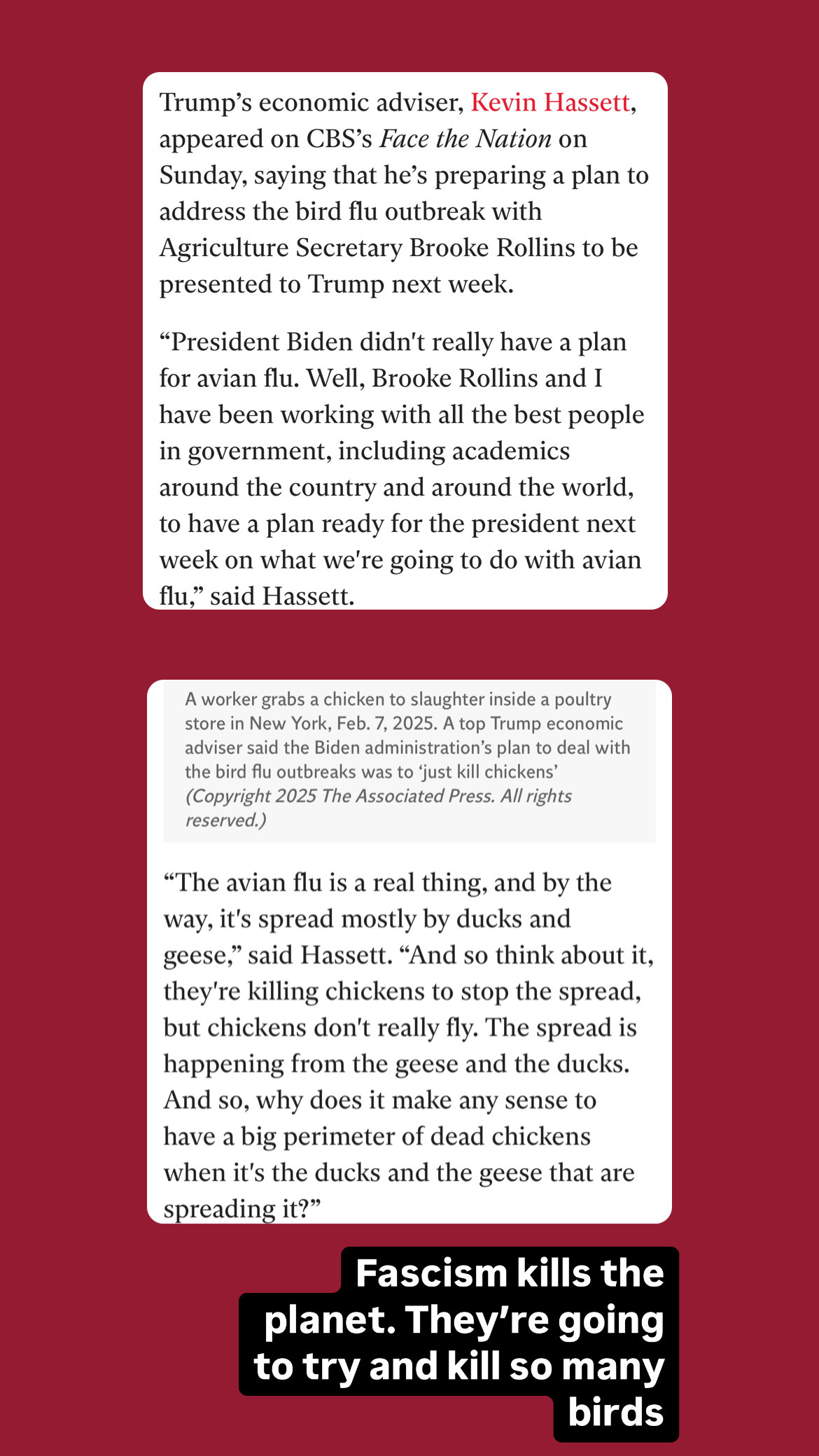 Trump’s economic adviser, Kevin Hassett, appeared on CBS’s Face the Nation on Sunday, saying that he’s preparing a plan to address the bird flu outbreak with Agriculture Secretary Brooke Rollins to be presented to Trump next week.  “President Biden didn't really have a plan for avian flu. Well, Brooke Rollins and I have been working with all the best people in government, including academics around the country and around the world, to have a plan ready for the president next week on what we're going to do with avian flu,” said Hassett. Below is an image (not listed) with the caption: "A worker grabs a chicken to slaughter inside a poultry store in New York, Feb. 7, 2025. A top Trump economic adviser said the Biden administration’s plan to deal with the bird flu outbreaks was to ‘just kill chickens’ (Copyright 2025 The Associated Press. All rights reserved.)" The article then continues with another quote from Hassett,, “The avian flu is a real thing, and by the way, it's spread mostly by ducks and geese,” said Hassett. “And so think about it, they're killing chickens to stop the spread, but chickens don't really fly. The spread is happening from the geese and the ducks. And so, why does it make any sense to have a big perimeter of dead chickens when it's the ducks and the geese that are spreading it?”
