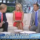 Stupid Fox News Idiots Confused Why Sharks Always Live In The Ocean So Much