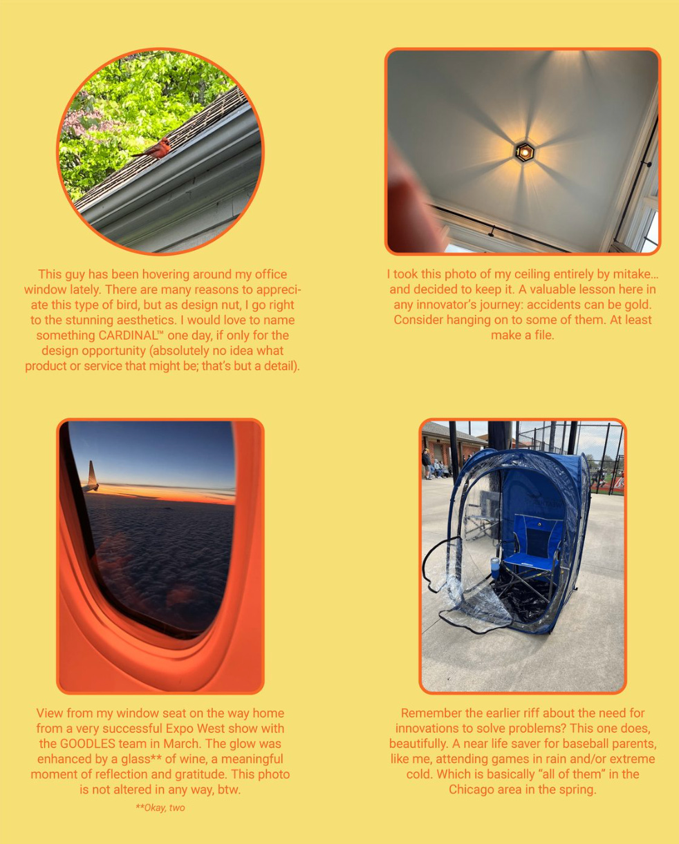 The image is a montage of four photographs with accompanying captions, suggesting moments of inspiration and appreciation in everyday life.

The top left image shows a bird perched on a ledge with green foliage in the background. The caption by Paul expresses admiration for the bird, mentioning a desire to name something "CARDINAL" in the future and acknowledging the beauty of the bird's aesthetics as a source of design inspiration, though he’s not sure what product or service it could be associated with.

The top right image is an accidental photo taken of a ceiling, showing a light fixture with geometric patterns. The caption reflects on the value of accidents in an innovator's journey, suggesting that such unexpected moments can be golden and worth keeping.

The bottom left image is a view from an airplane window during a sunset or sunrise, with the wing visible against a gradient sky. The caption notes this view was from Paul's return from a successful Expo West show with the GOODLES team in March, mentioning the scene is enhanced by a glass of wine and represents a moment of reflection and gratitude. He humorously clarifies that two glasses of wine were actually involved and that the photo is unaltered.

The bottom right image displays a portable chair with a built-in shelter designed to protect from the elements. The caption relates this innovation to the earlier mention of solutions for baseball parents attending games in rain or cold, implying that this invention is a lifesaver for those situations, especially common in the Chicago area during spring.

The text within the image reads:
"This guy has been hovering around my office window lately. There are many reasons to appreciate this type of bird, but as a design nut, I go right to the stunning aesthetics. I would love to name something CARDINAL™ one day, if only for the design opportunity (absolutely no idea what product or service that might be; that’s but a detail).

I took this photo of my ceiling entirely by mistake... and decided to keep it. A valuable lesson here in any innovator’s journey: accidents can be gold. Consider hanging on to some of them. At least make a file.

View from my window seat on the way home from a very successful Expo West show with the GOODLES team in March. The glow was enhanced by a glass** of wine, a meaningful moment of reflection and gratitude. This photo is not altered in any way, btw.
**Okay, two

Remember the earlier riff about the need for innovations to solve problems? This one does, beautifully. A near life saver for baseball parents, like me, attending games in rain and/or extreme cold. Which is basically 'all of them' in the Chicago area in the spring."