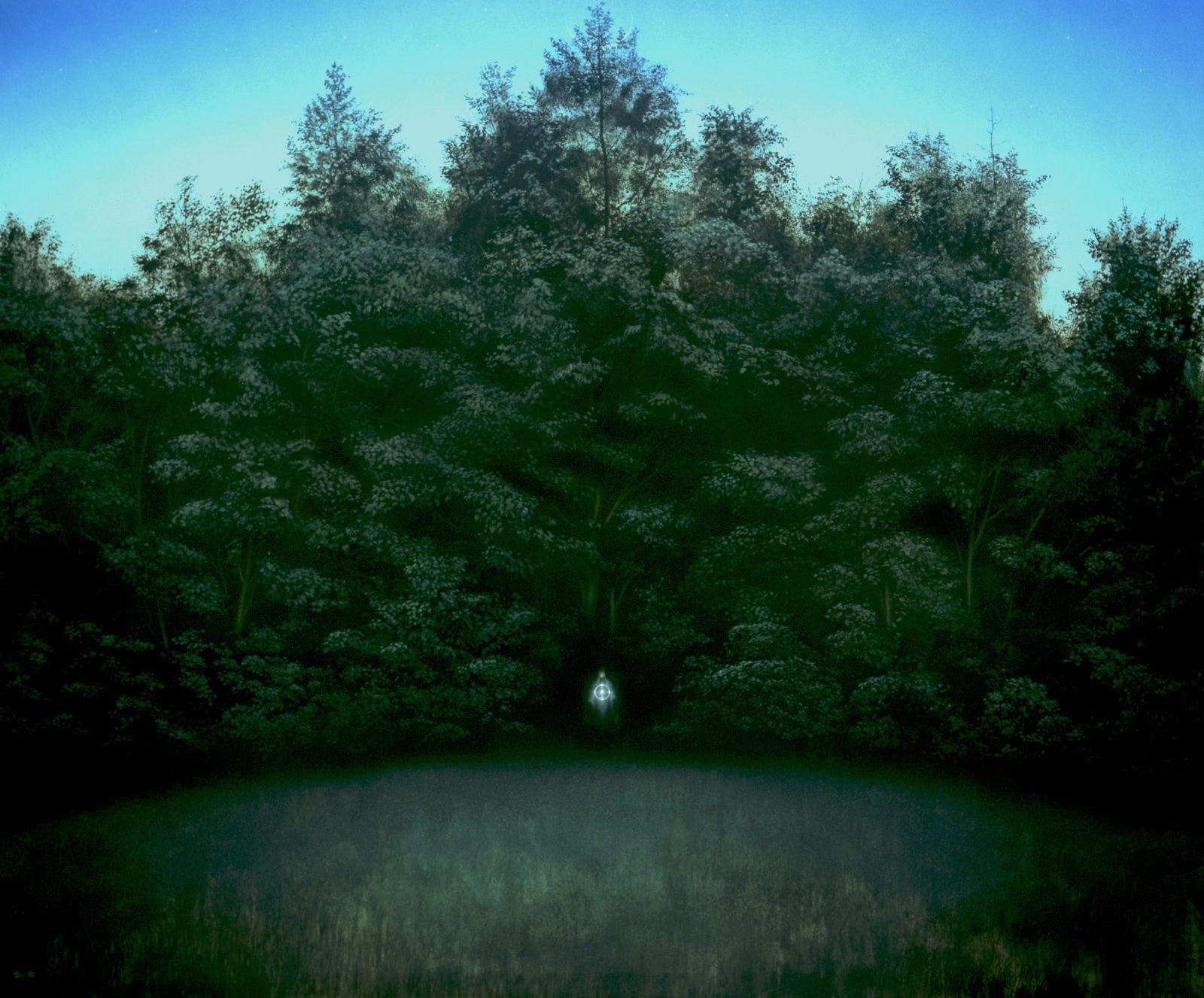A cloaked figure stands in a dark pocket of forest illuminated by a floating sphere of light. Trees rise above dwarfing the figure at they peak at the top center of the canvas, giving way to twilight sky that seems to glow light blue beyond the trees and darken reveal stars.