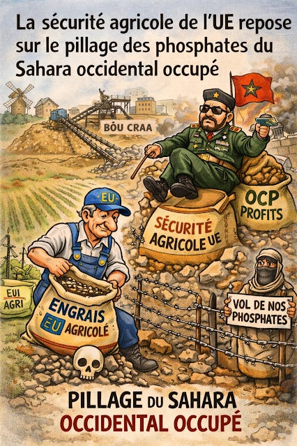 Engrais : quand la sécurité agricole européenne repose sur le pillage du Sahara occidental