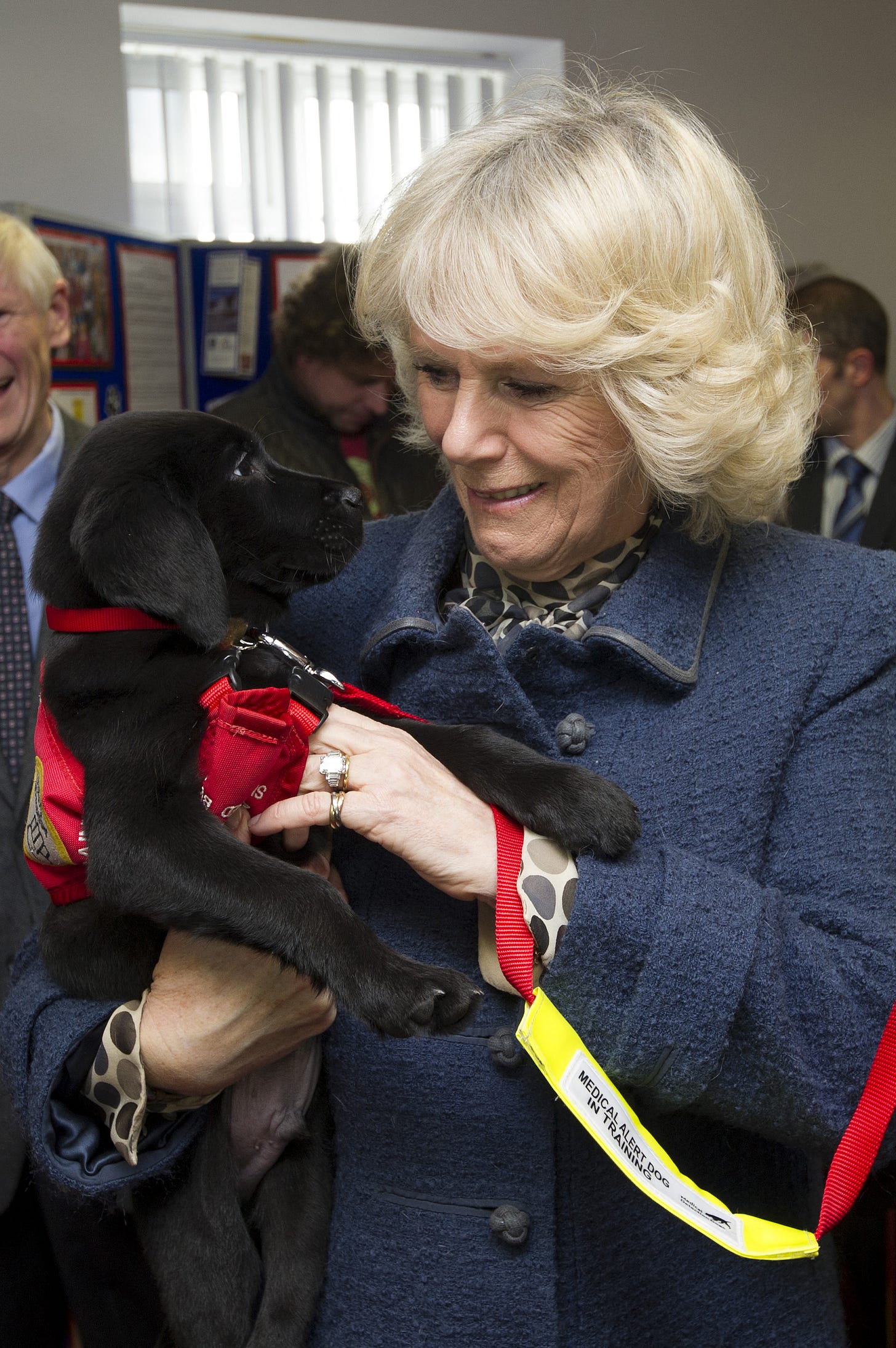 Queen Camilla holding a puppy.