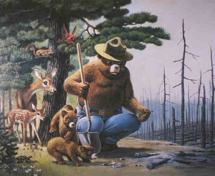 News Media: Smokey the Bear Sutra: Smokey Bear image, picture