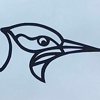 Beakuency: Meet Bird People in the Hudson Valley!