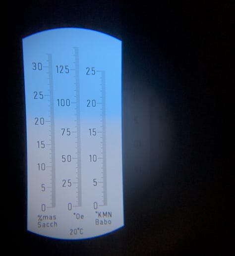 Using the refractometer to measure Babo