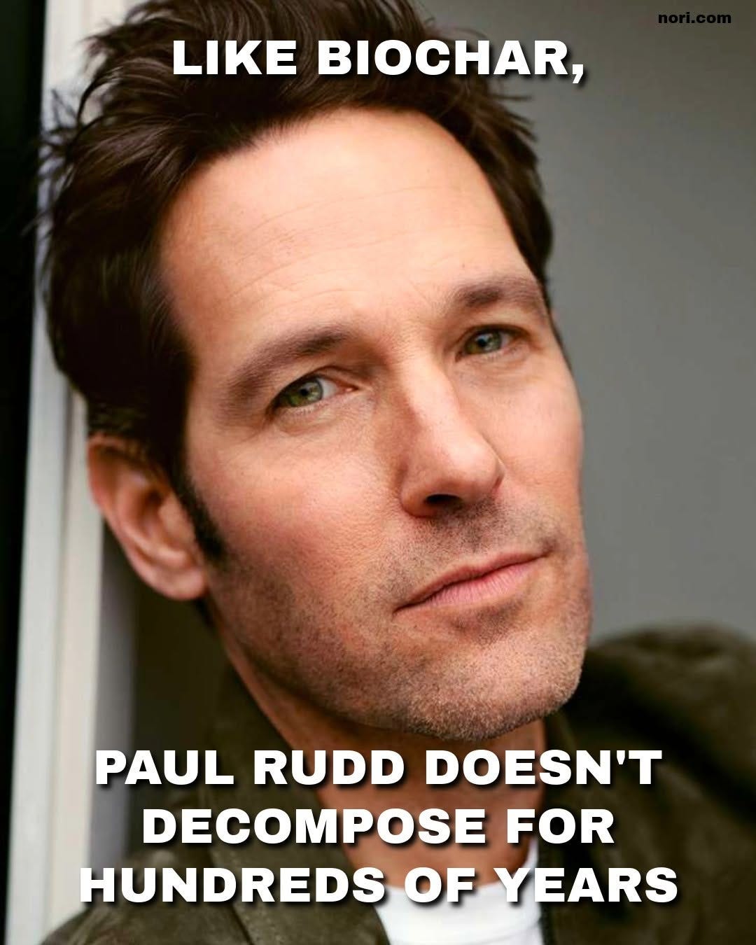 A close-up of Paul Rudd with the text "Like biochar, Paul Rudd doesn't decompose for hundreds of years".