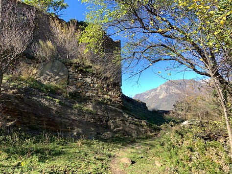 Autumn Walks In The Forests And In The Mountains: The Perfect Escape From City Life