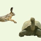 Quiet breeds inspiration