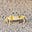 Joon's Crab's avatar
