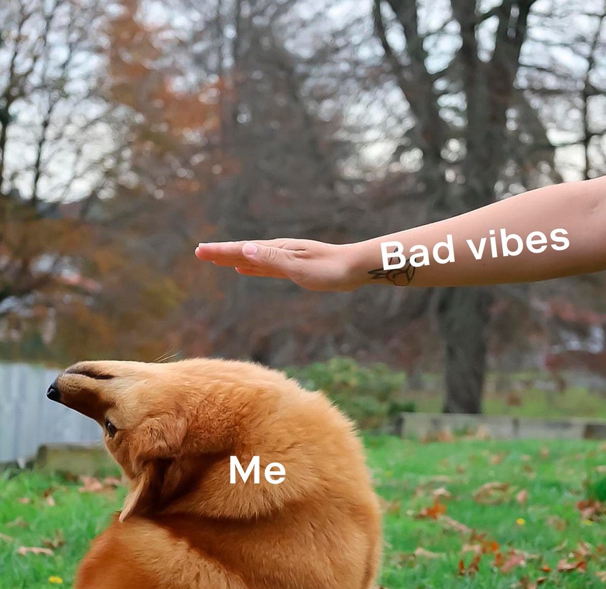 Astralis on Twitter: &quot;Like this meme, to avoid all the bad vibes coming  your way this weekend. Wishing everyone on Twitter a negative energy-free  weekend. 🤗 https://t.co/D5xa606m6h&quot; / Twitter