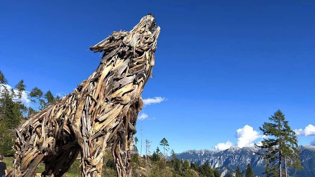 Come arrivare alla Lupa di Vaia del Lagorai
