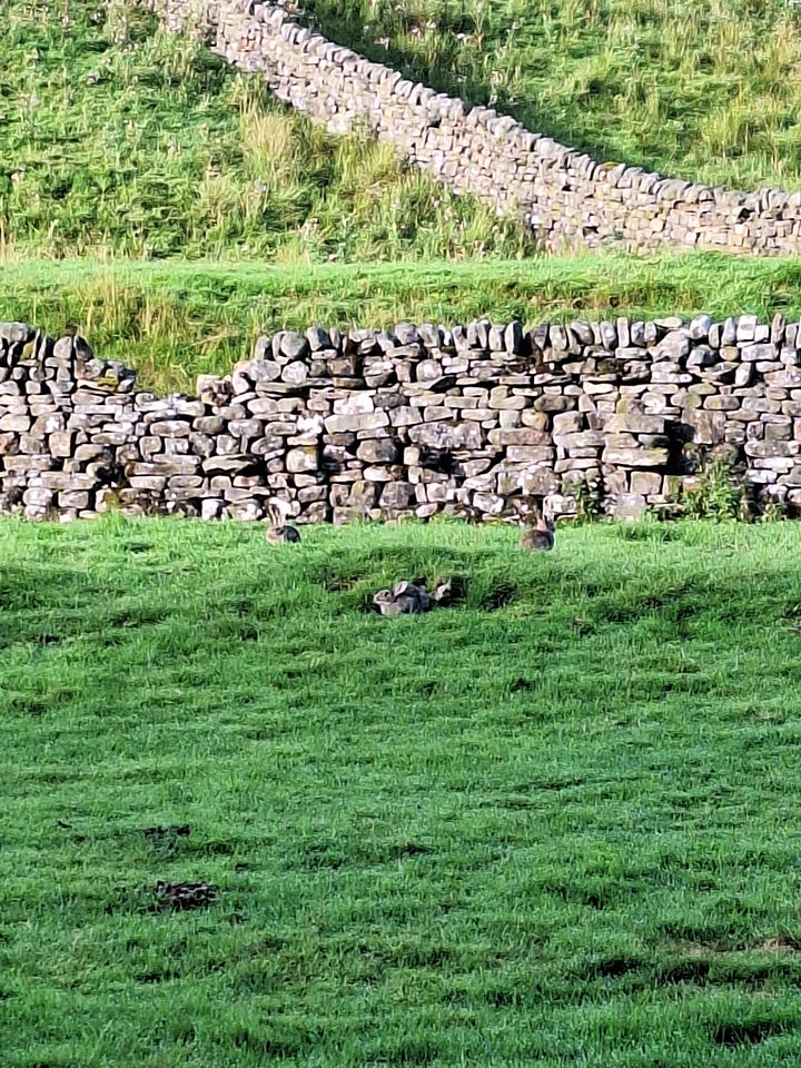 Pennine Way