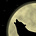 Xandolf Gnol's avatar