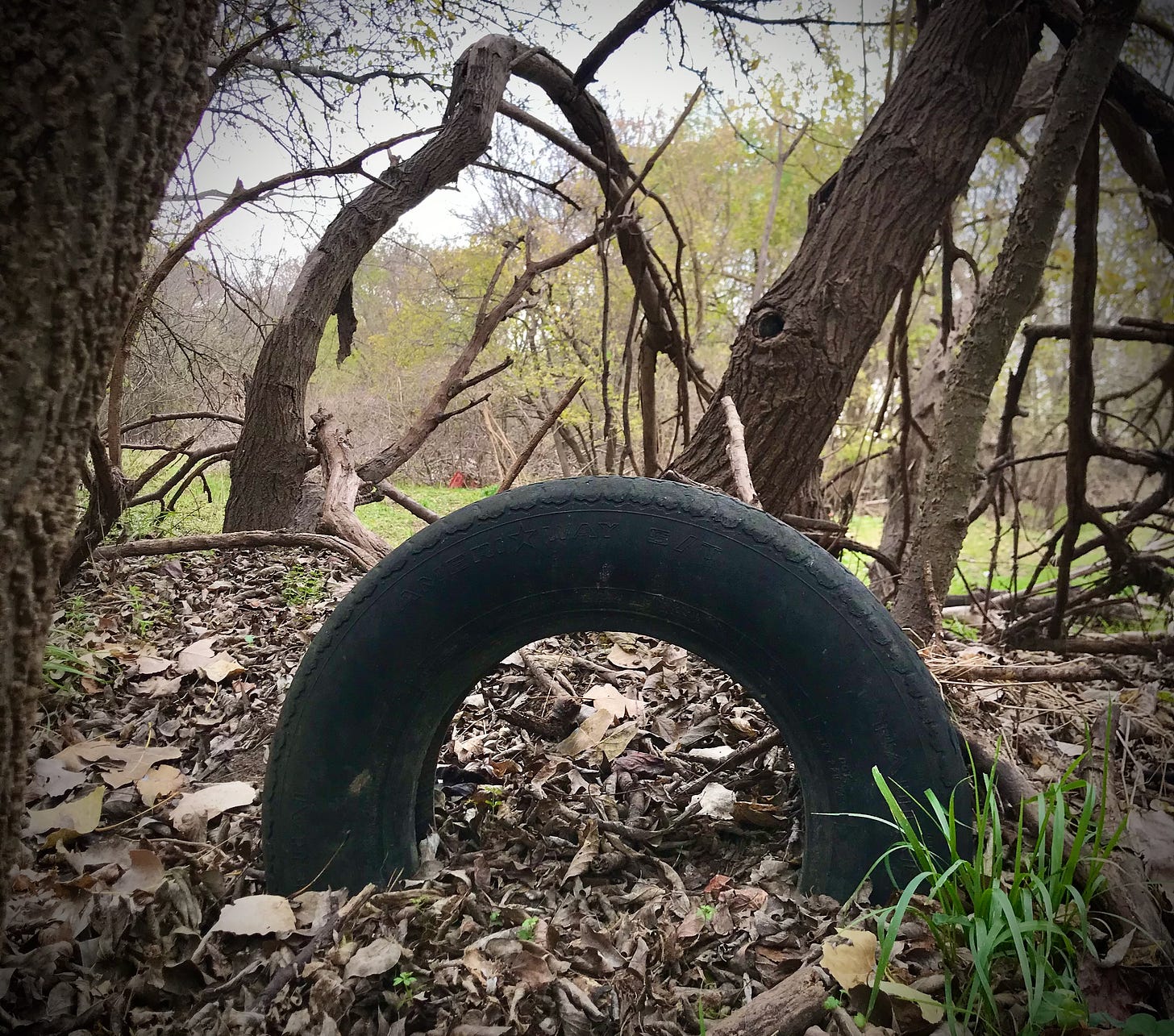 Tire half-buried in earth