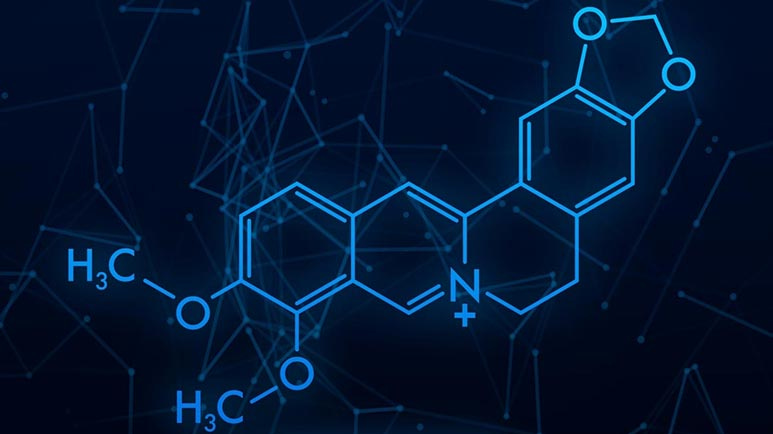 berberine natural option ozempic