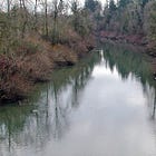Project Yamhill Preliminary Architecture