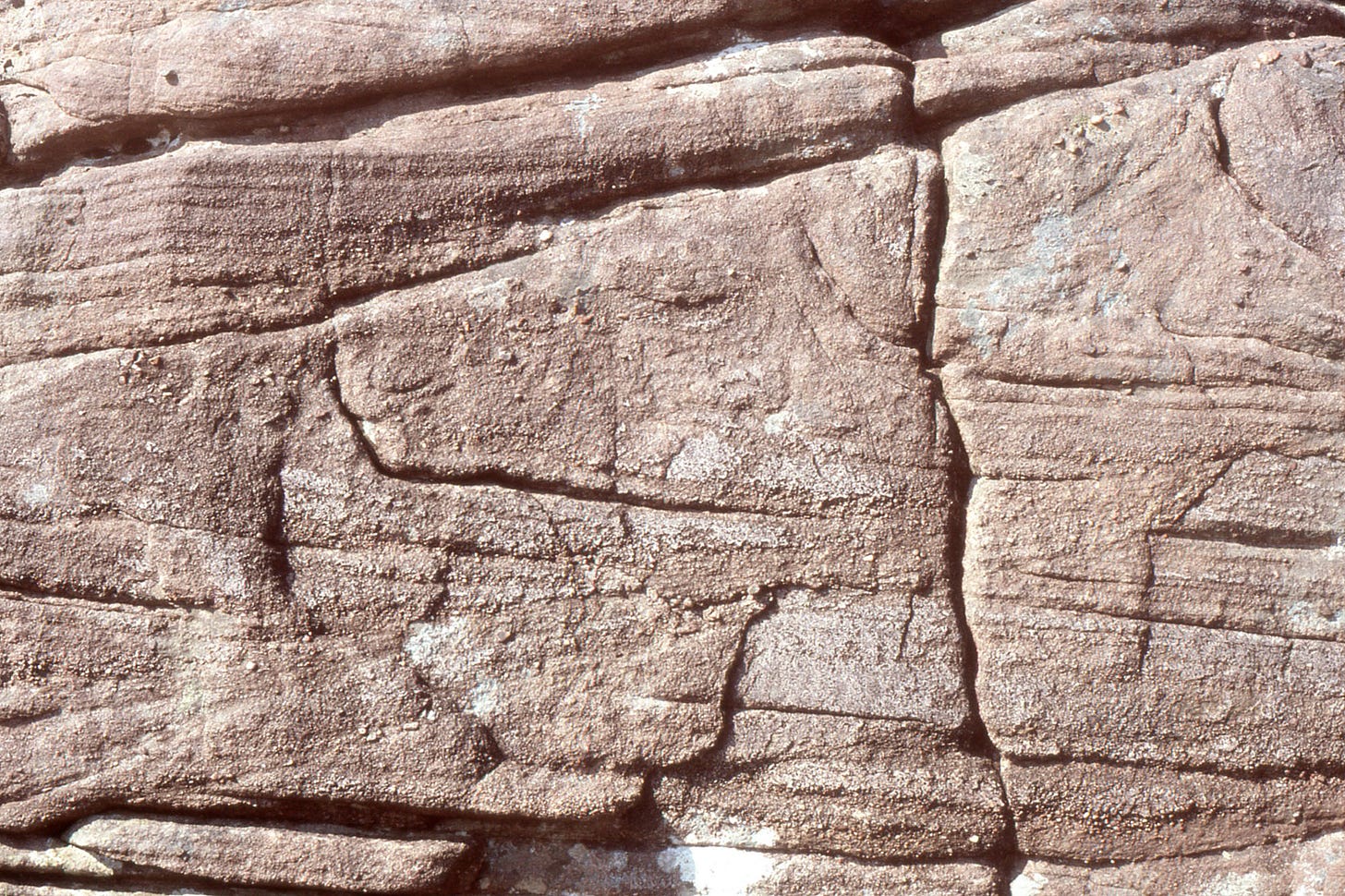 ressish sandstone rock, slanty strata, embedded pebbles of quartz