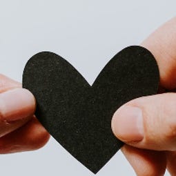 Katie Fitzgerald Writes