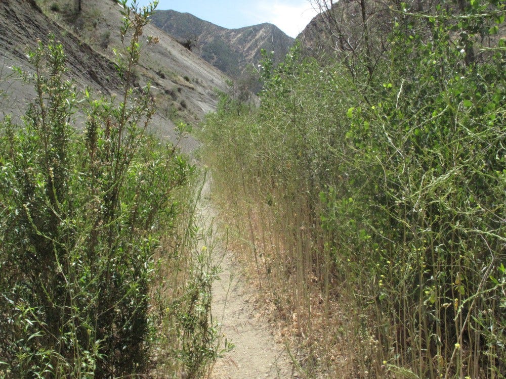 Piru Creek 5-14-09 (8).JPG Piru Creek 5-14-09 (8).JPG