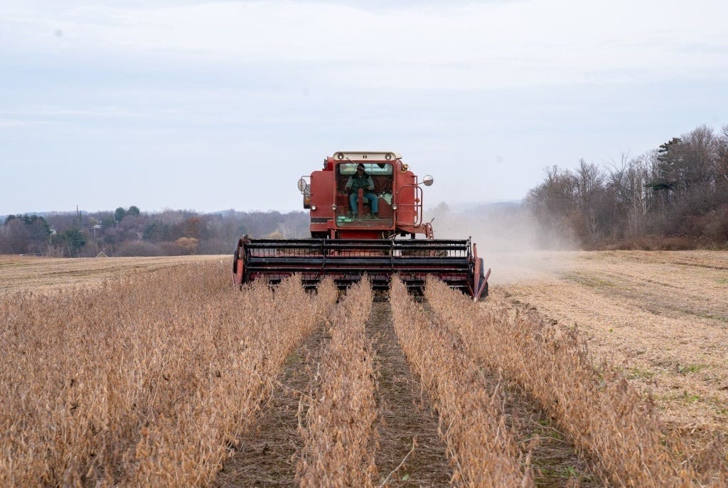 Farming Methods That Naturally Improve Soils