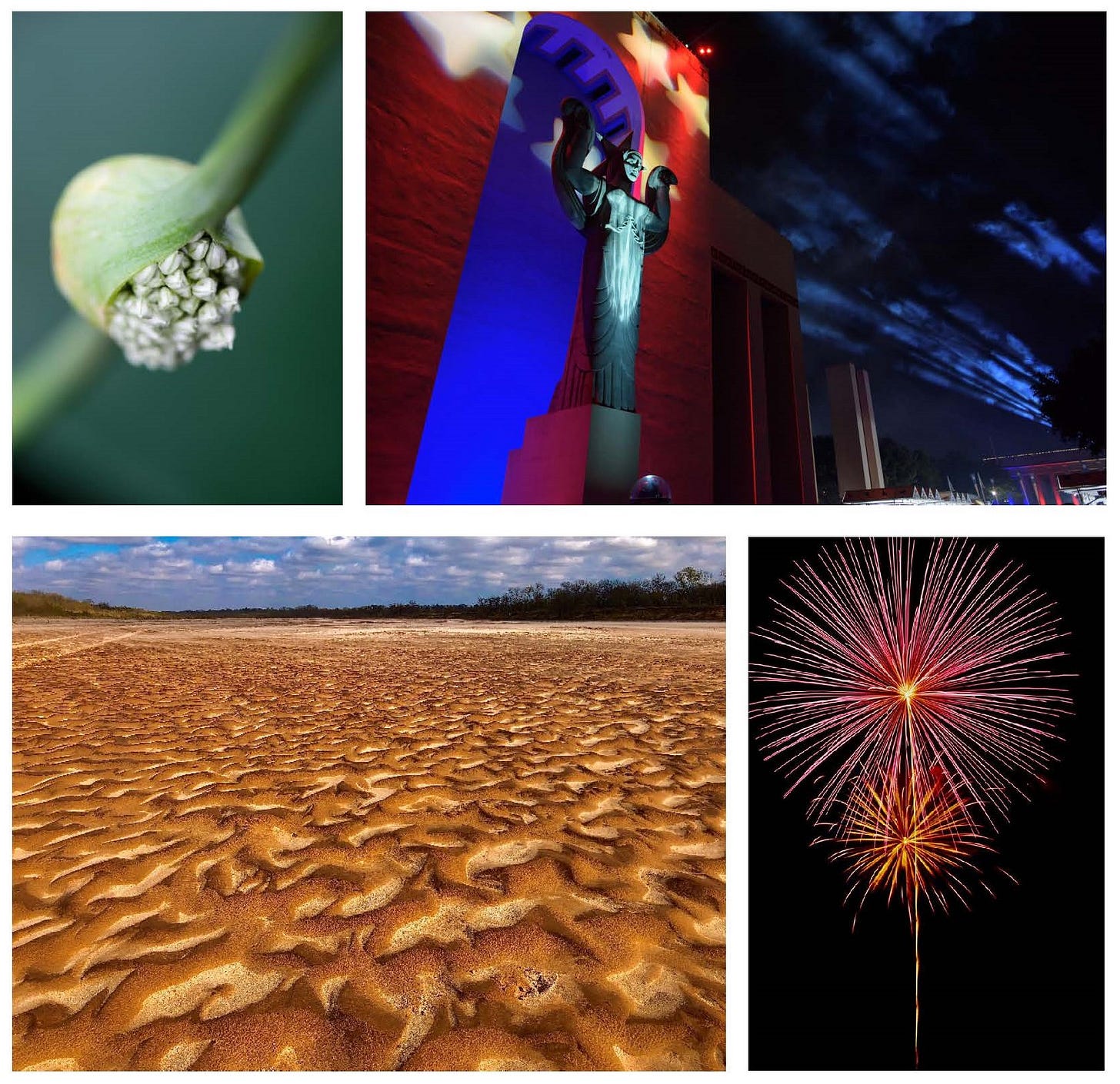 Ribbon-winning photos by Susan Edgley and Kim Mobley