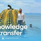 Knowledge transfer: why can't we copy and paste knowledge?