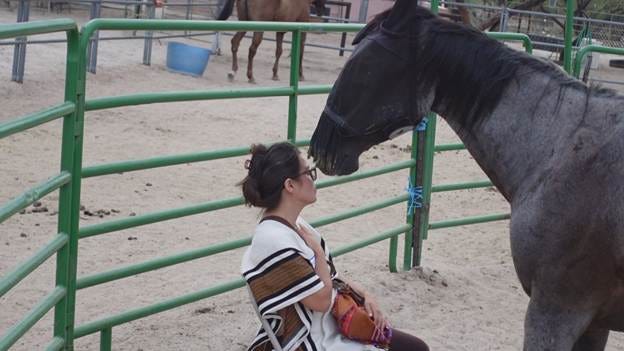 A person sitting on a horse

AI-generated content may be incorrect.