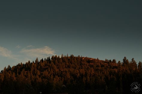 Fuji photographs of life in Montana by Tyler Knott Gregson