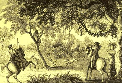 Slavery and Dogs in the Antebellum South | Sniffing the Past Slavery and Dogs in the Antebellum South | Sniffing the Past