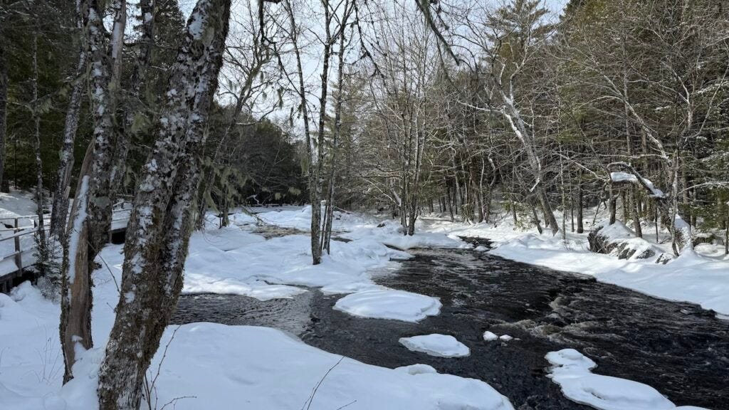 A partially frozen river winds through a snowy forest, with dark flowing water cutting between white snow-covered banks and leafless trees extending overhead under a pale winter sky.