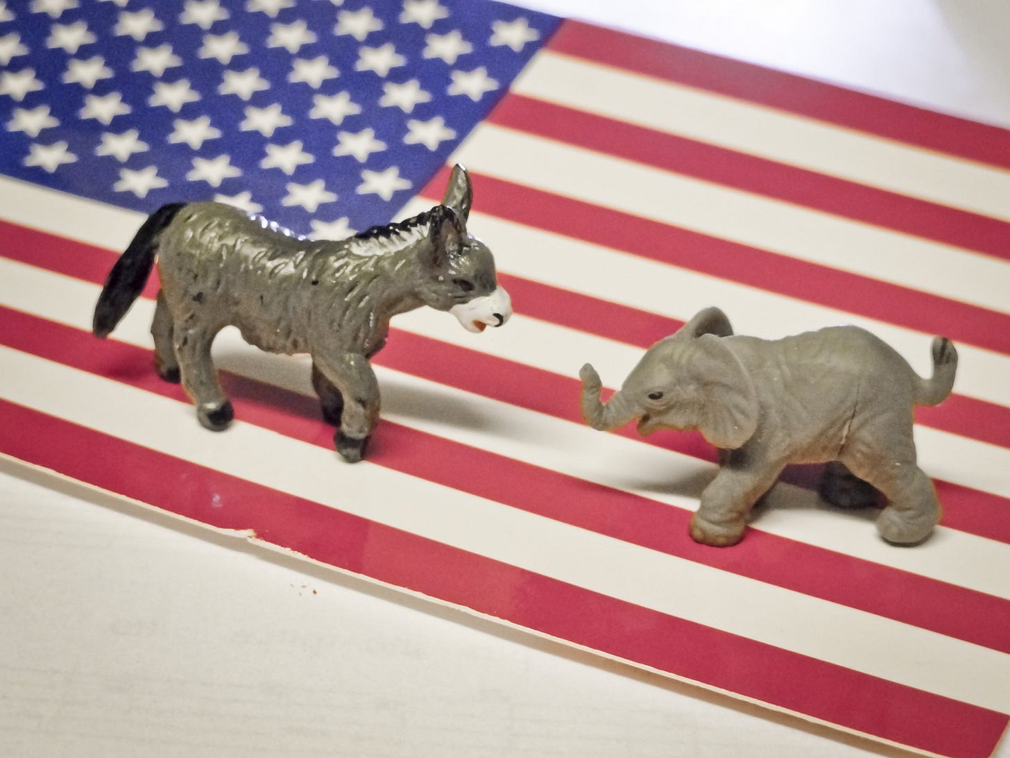 Donkey And Elephant Donkey And Elephant