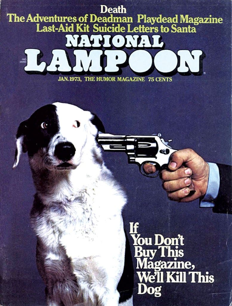 Who Shot Mr. Cheeseface? The Vermont Demise of a Famous Mutt | Crime |  Seven Days | Vermont's Independent Voice