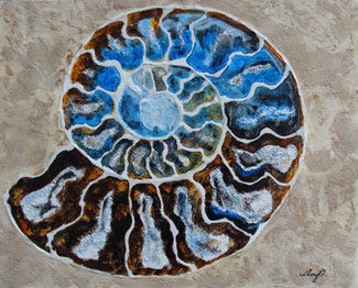 Collage of a cross section of an ammolite shell by COA