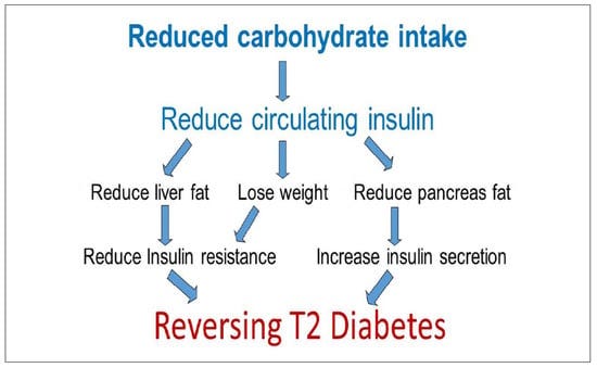 IJERPH | Free Full-Text | Low-Carbohydrate Diets in the Management of Obesity and Type 2 Diabetes: A Review from Clinicians Using the Approach in Practice IJERPH | Free Full-Text | Low-Carbohydrate Diets in the Management of Obesity and Type 2 Diabetes: A Review from Clinicians Using the Approach in Practice