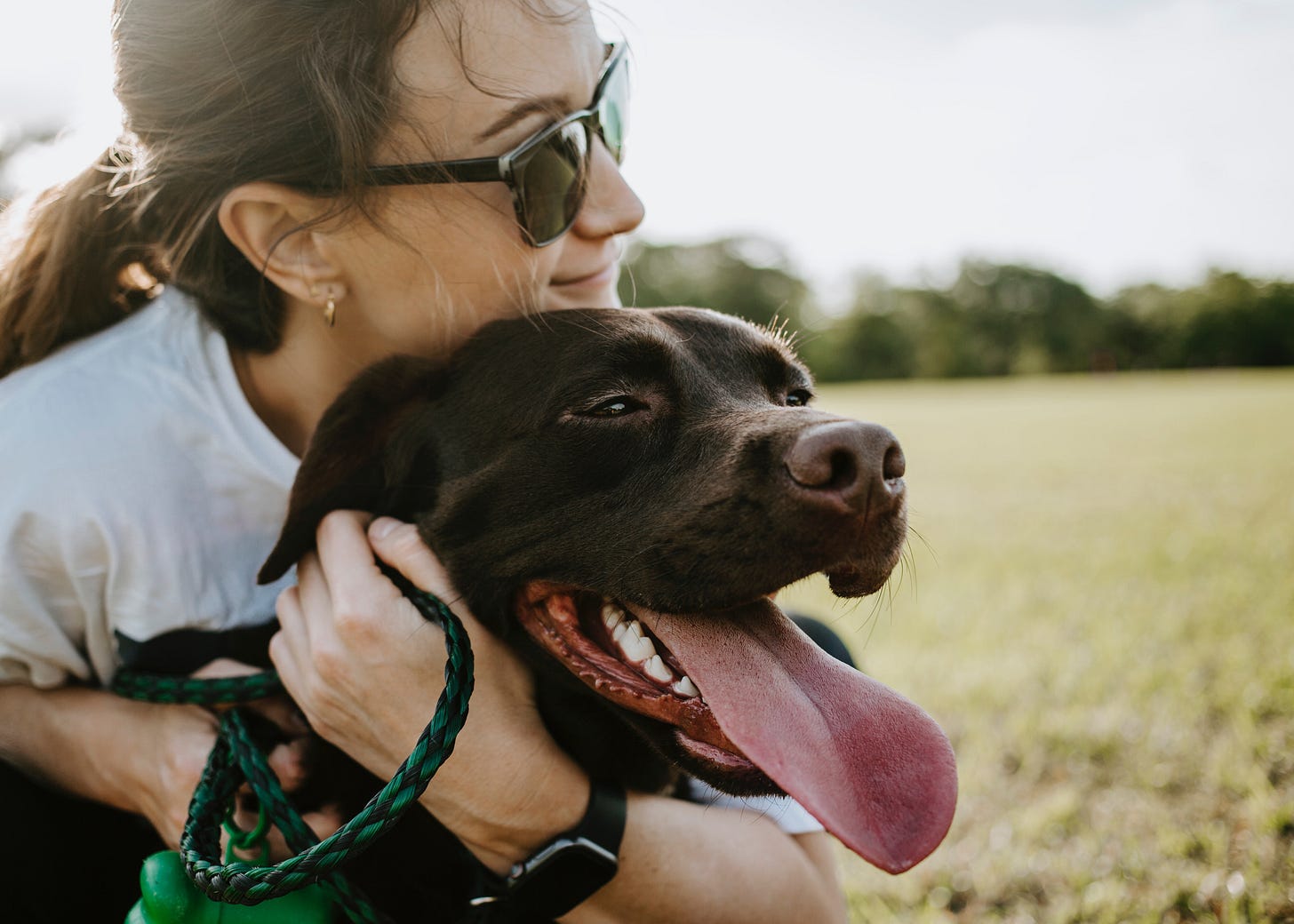 Girl and her dog best friend sitting in a sunny field