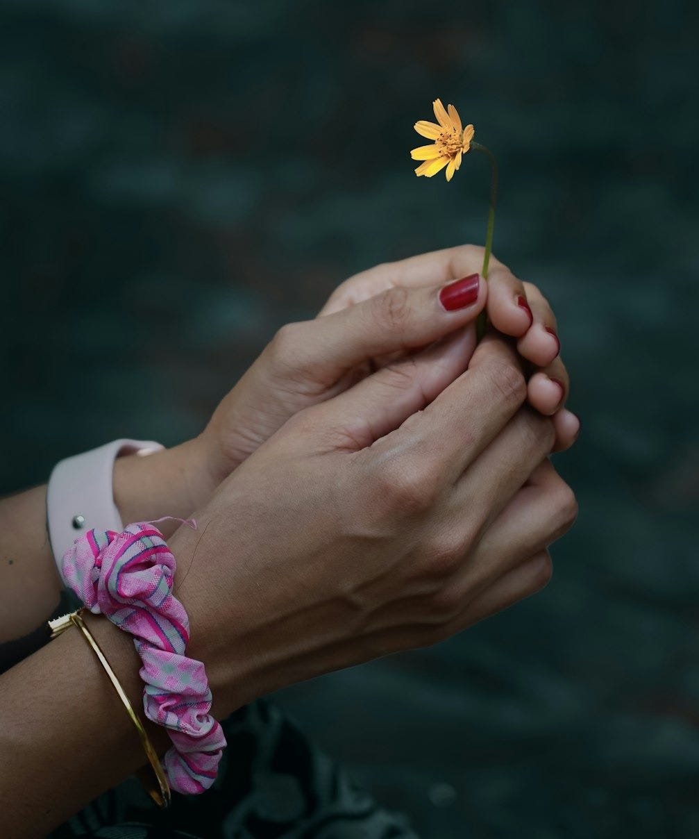 a person holding a flower a person holding a flower