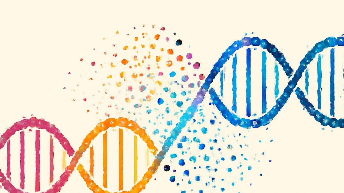 Islamic Gene New Genetic Study Finds Ashkenazi Jewish Lineage Traces Back to Middle East