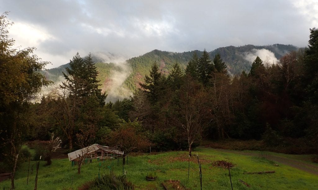 The view from my writing table, at a cabin in a remote northern California location. The mist is rising up from the Klamath River.