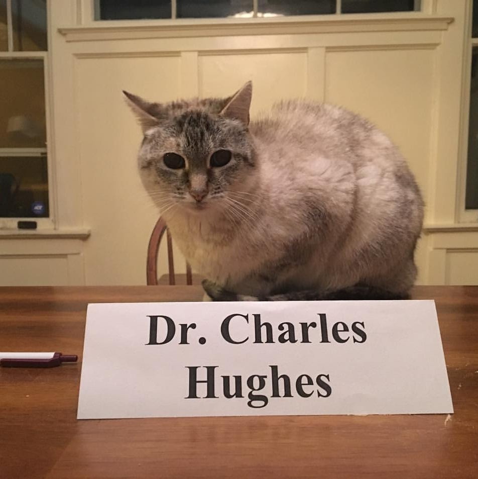 May be an image of ragdoll cat and text that says 'Dr. Charles Hughes'