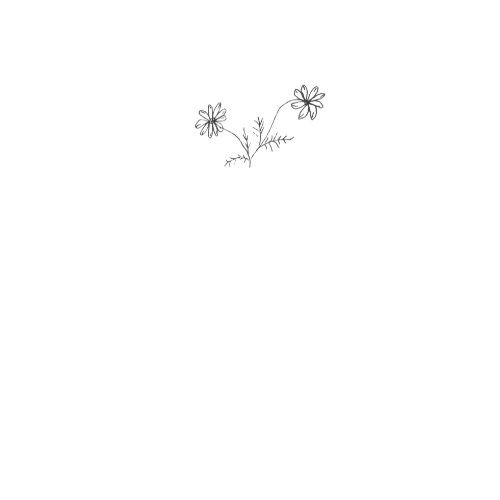 A minimalist black-and-white line drawing of a delicate floral sprig with three small daisy-like flowers and thin, leafy stems. The illustration is centered on a transparent background, giving it a light, airy feel.