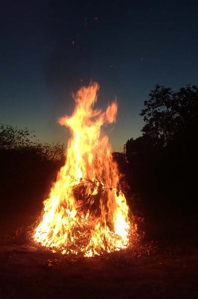 1news_woof_fire_in_the_open