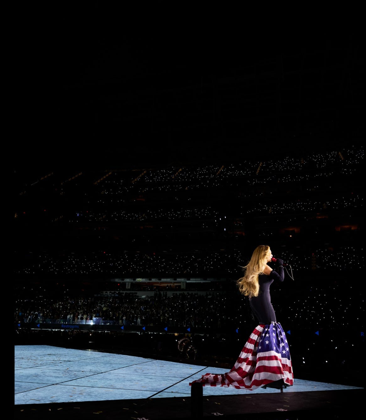 Beyoncé Took The Flag Back - by Sari Beth Rosenberg