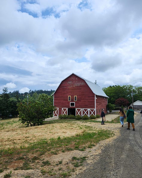 Photos of a Yamhill-Carlton Winery, cherry trees, hazelnuts, and an Oregon winemaker