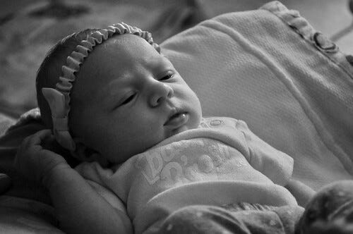 _DSC0195 _DSC0195