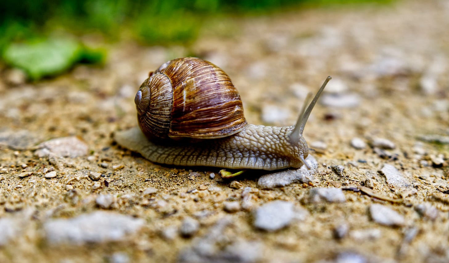 Slowly moving.. Slowly moving..
